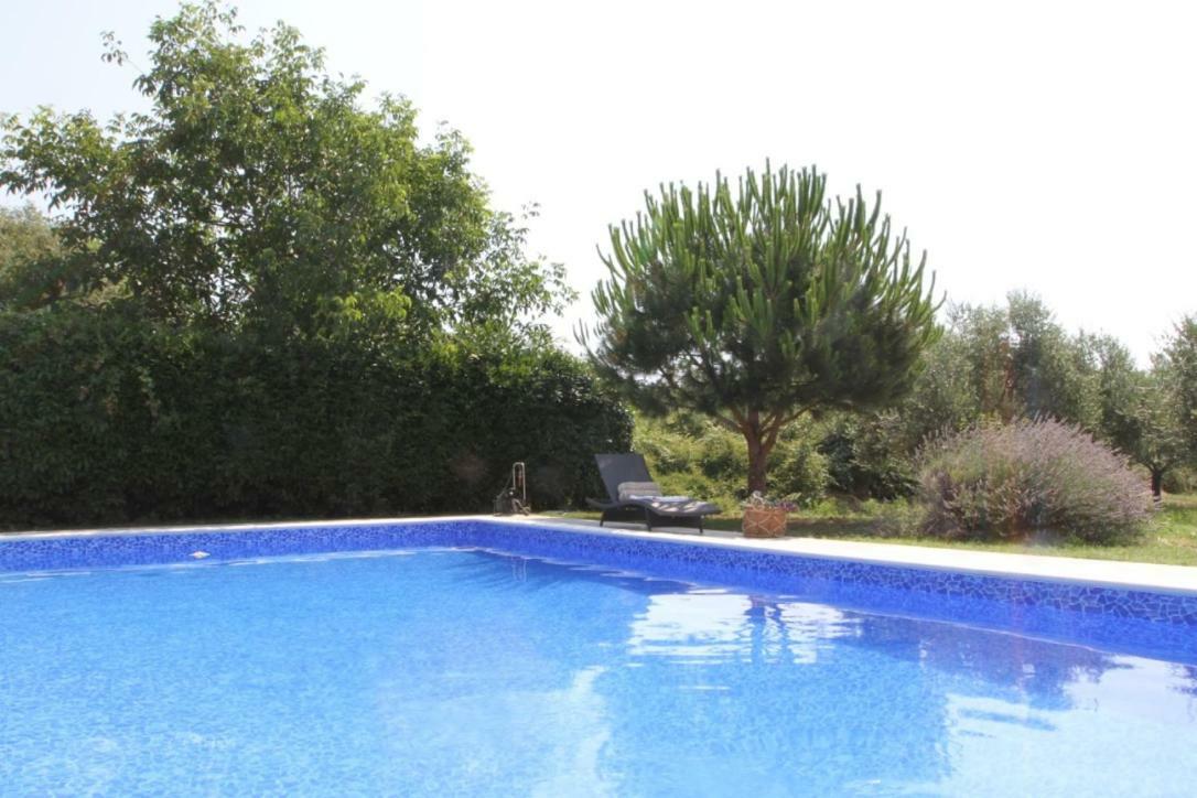 Premantura Olive Garden Villa Bagian luar foto