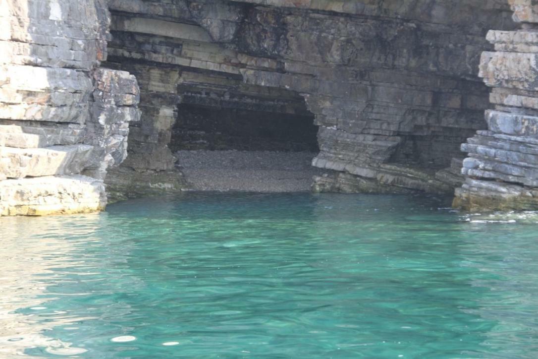 Premantura Olive Garden Villa Bagian luar foto