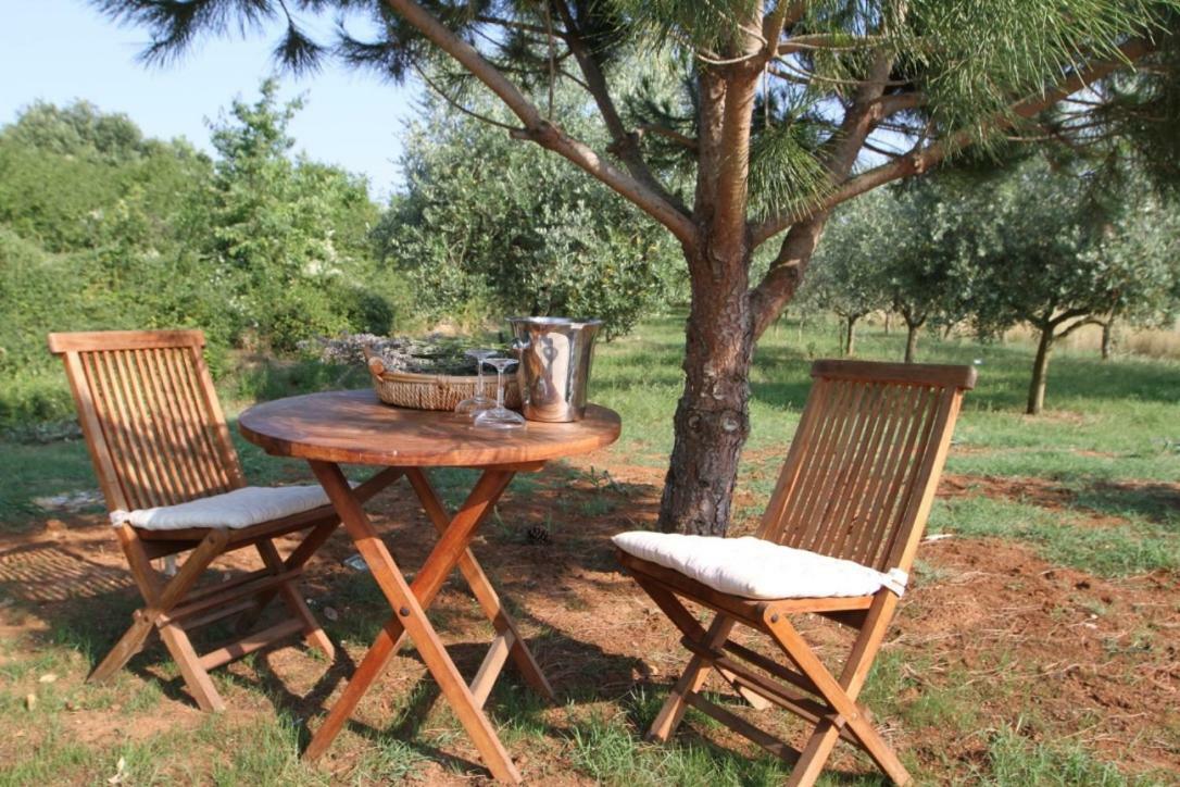 Premantura Olive Garden Villa Bagian luar foto