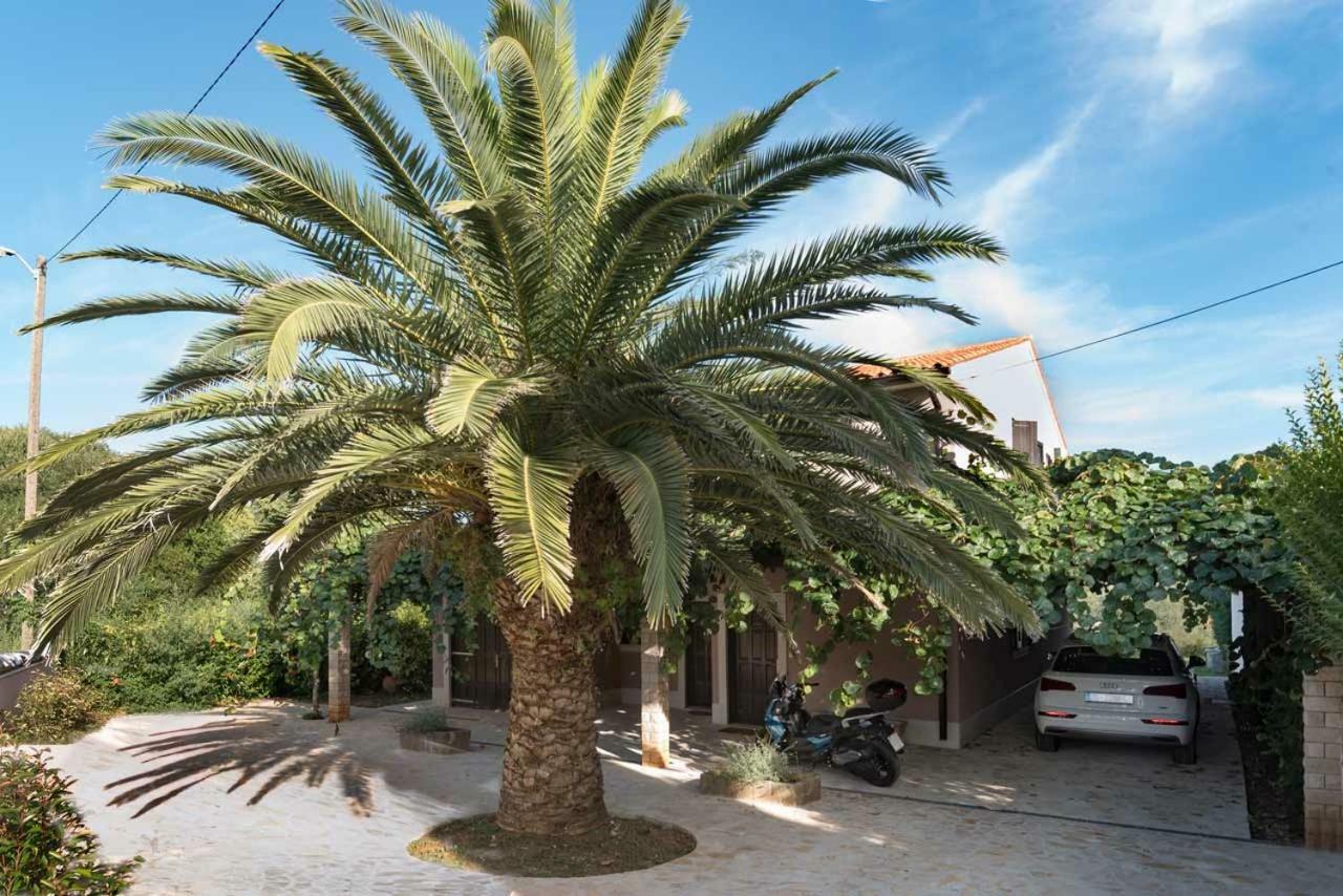 Premantura Olive Garden Villa Bagian luar foto